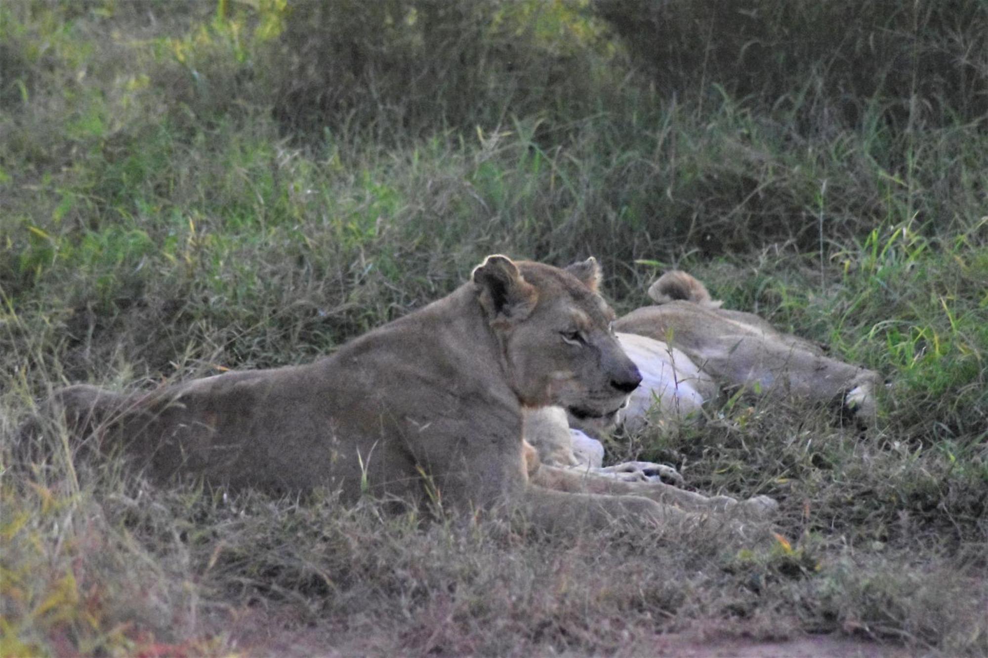 The Baobab Bush Lodge And Villa 호에드스프뤼트 외부 사진