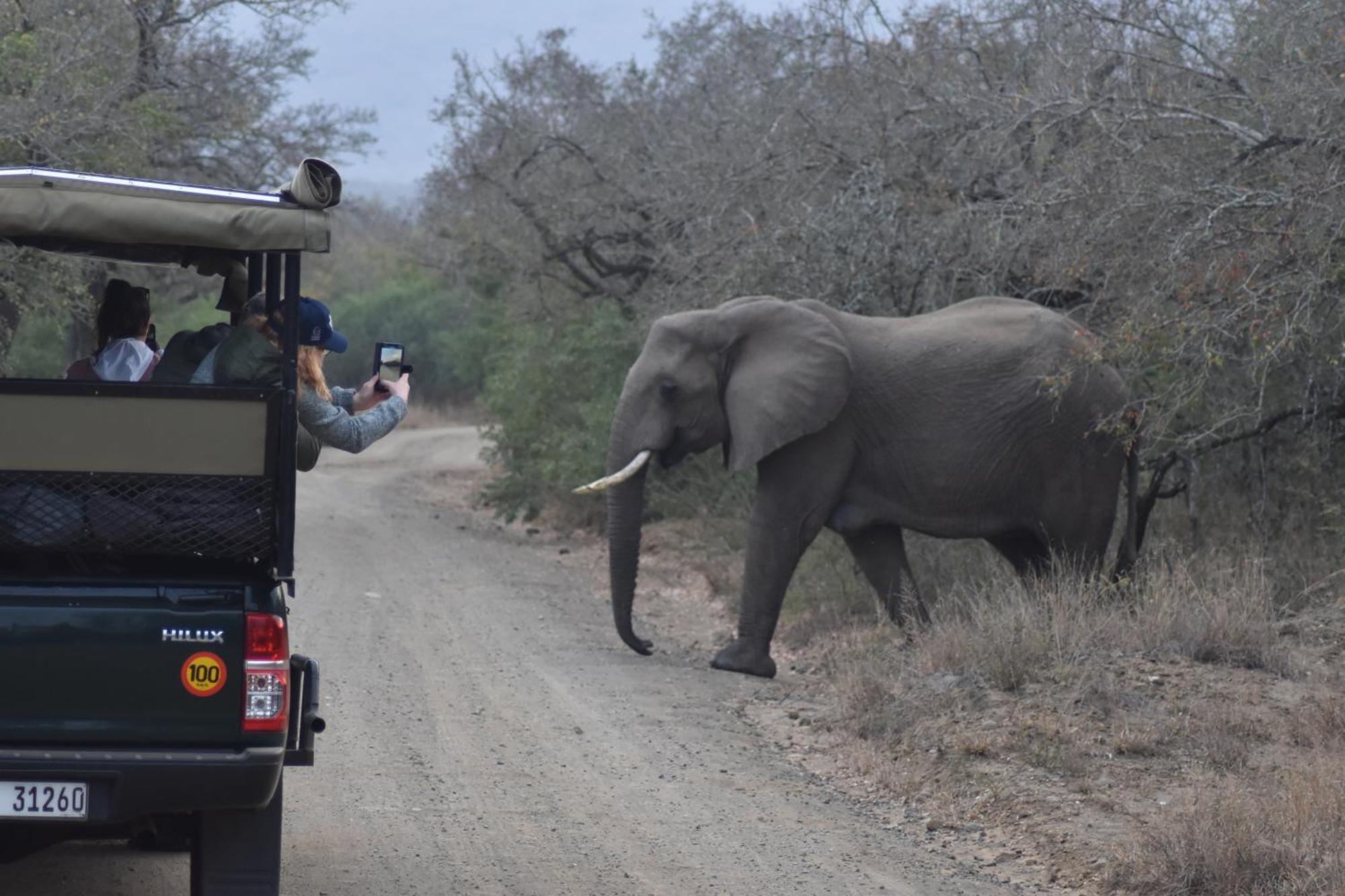 The Baobab Bush Lodge And Villa 호에드스프뤼트 외부 사진