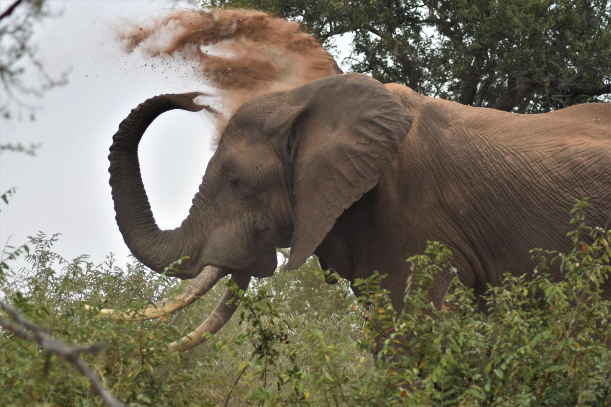 The Baobab Bush Lodge And Villa 호에드스프뤼트 외부 사진