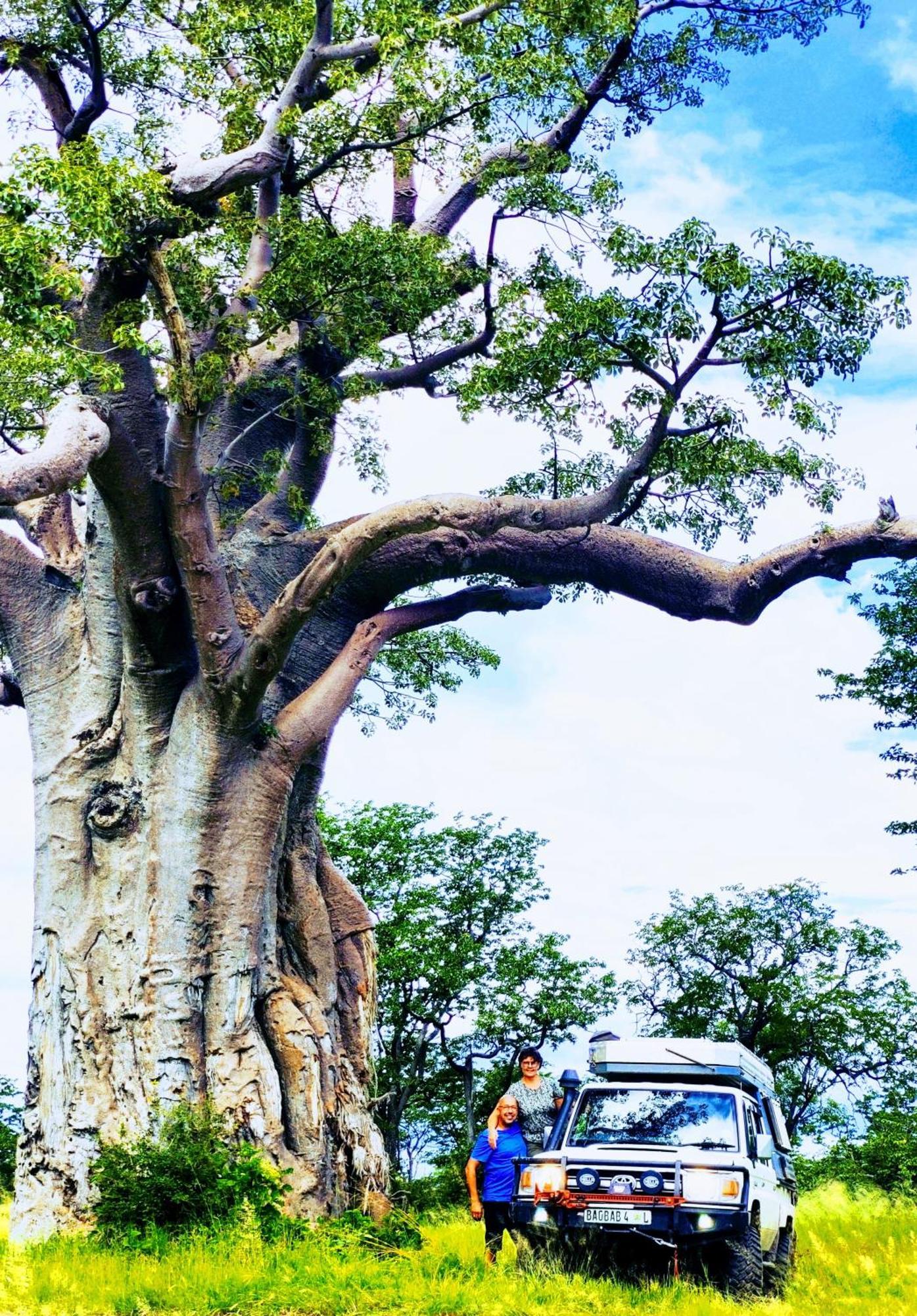The Baobab Bush Lodge And Villa 호에드스프뤼트 외부 사진