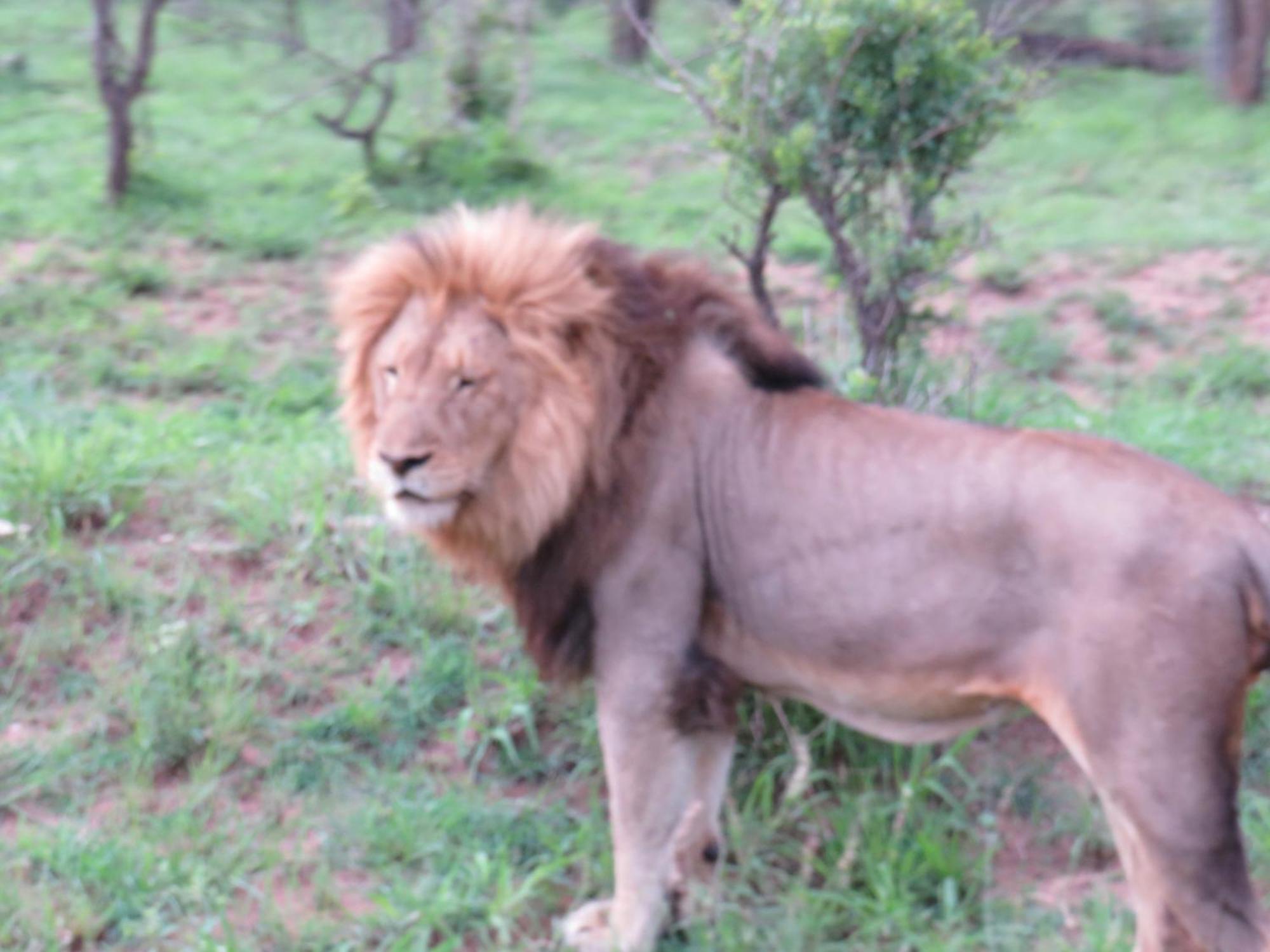 The Baobab Bush Lodge And Villa 호에드스프뤼트 외부 사진