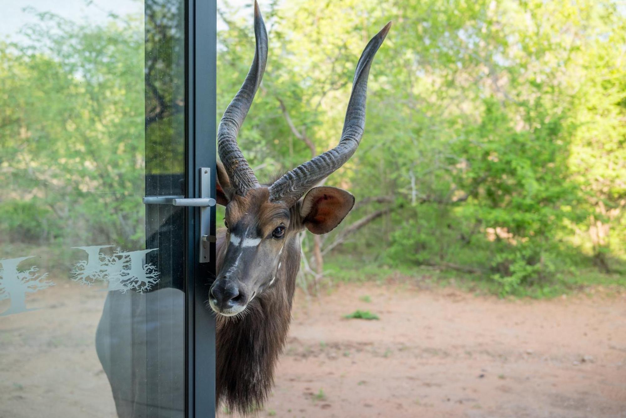 The Baobab Bush Lodge And Villa 호에드스프뤼트 외부 사진