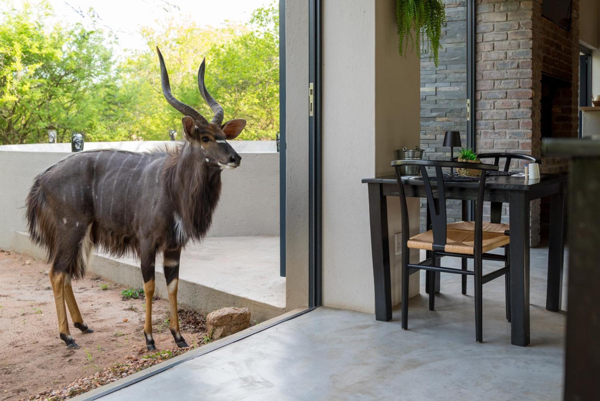 The Baobab Bush Lodge And Villa 호에드스프뤼트 외부 사진