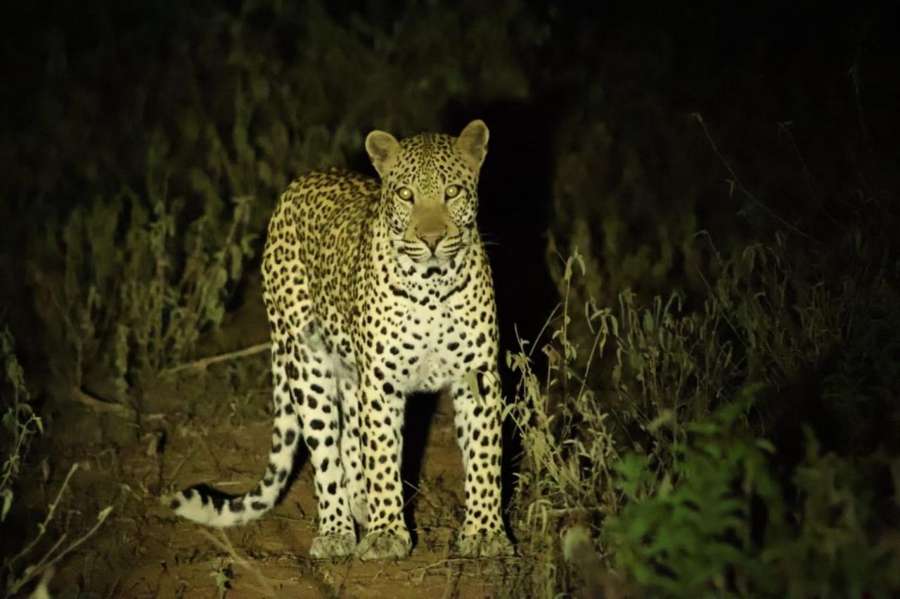 The Baobab Bush Lodge And Villa 호에드스프뤼트 외부 사진